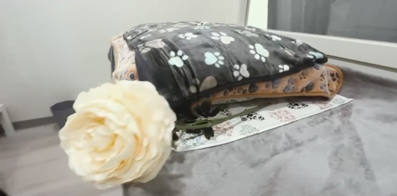 Farewell Service for Your Beloved Pet